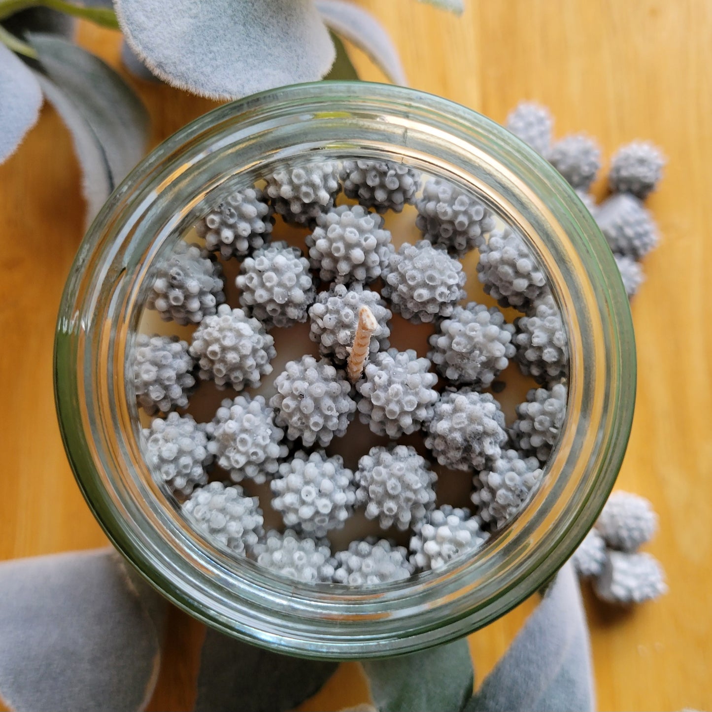 Black Raspberries & Vanilla Scented Soy Candle